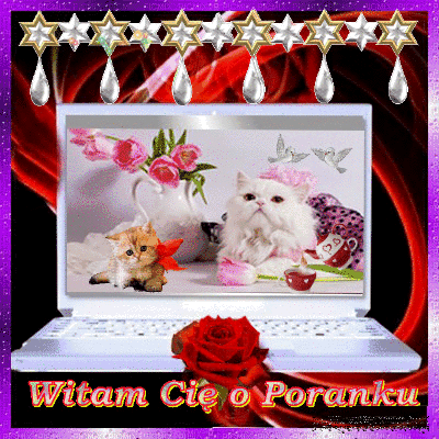Witam Cię o poranku koty